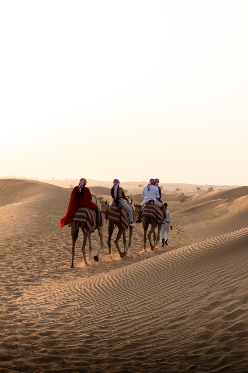 people riding horses on brown sand during daytime